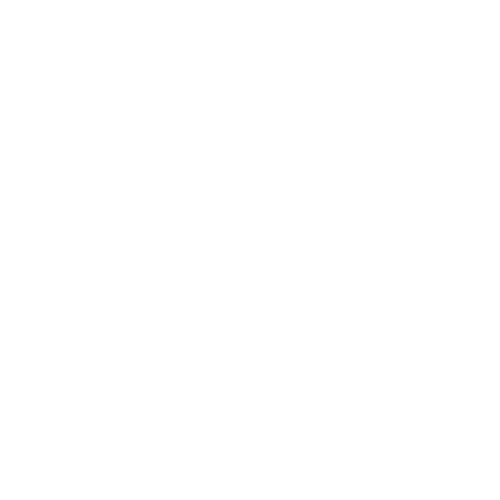 Modern Day Coach logo